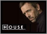 Hugh Laurie, Dr. House